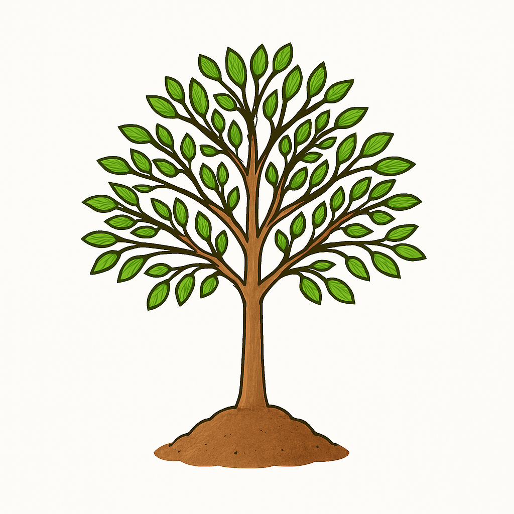 Spiritual Mission - Week 7